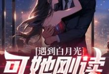 沐枫为主角的小说叫什么?免费看遇到白月光,可她刚读幼儿园-推书机