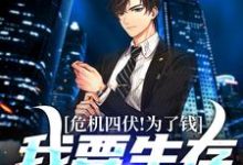 男女主人公叫叶枫傅长雄的小说免费资源-推书机