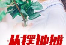 小说《从摆地摊开始崛起》章节免费阅读-推书机