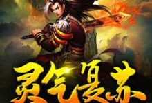 哪里能找到灵气复苏:从获得霸王模板开始无敌小说的全部章节?-推书机
