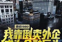哪里能找到重返1980:我靠倒卖外企成为金融巨头小说的最新更新和免费章节?-推书机