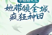 已完结小说《穿越遇灾荒,她带领全城疯狂种田》章节免费阅读-推书机
