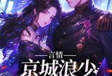 言情:京城浪少苦追妻小说,言情:京城浪少苦追妻林栀沈斯屹-推书机
