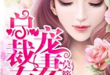 苏唯一南宫少决南宫霖为主角的小说叫什么?免费看总裁宠妻有道-推书机