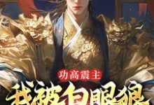 陈风朱棣为主角的小说叫什么？免费看功高震主，我被白眼狼皇帝罢黜了-推书机