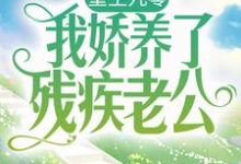 重生九零:我娇养了残疾老公免费阅读,重生九零:我娇养了残疾老公章节在线阅读-推书机
