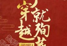 刚穿越就殉葬?闹呢!小说,刚穿越就殉葬?闹呢!司夜云轩辕靖-推书机