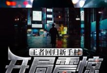 林凡陈伟的故事在哪本书里?免费阅读王者回归新手村,开局震惊网游界-推书机