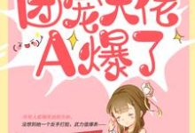 农家傻女:团宠大佬A爆了阮宁柳澈小说在线章节目录阅读最新章节-推书机