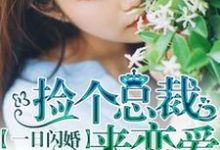 顾朝颜林悦生为主角的小说好看吗？求一日闪婚：捡个总裁来恋爱免费试读-推书机