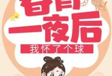 春宵一夜后我怀了个球免费阅读,春宵一夜后我怀了个球章节在线阅读-推书机