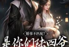 完结版《婚事不匹配?是你们陆四爷配不上我》免费阅读-推书机