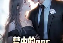 《梦中的npc成了现实里的女神》全集免费在线阅读(萧凡)-推书机