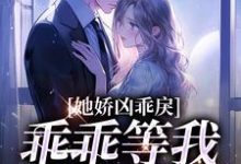 陆昭昭江辞允是哪本书的主角?小青梅,乖乖等我来教你免费读-推书机
