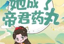 《穿越后，她成了帝君药丸》小说章节在线试读，《穿越后，她成了帝君药丸》最新章节目录-推书机
