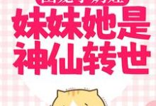 阿宝赵恒是哪本书的主角?团宠小奶娃:妹妹她是神仙转世免费读-推书机