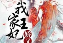 我家王妃娇又萌小说,我家王妃娇又萌秦娆沈清渊南宫芸北夜-推书机