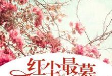 慕安年沈宴尘是哪本书的主角?寻找红尘最慕是安年免费阅读-推书机