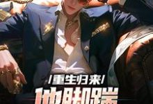 重生归来,他脚踹渣女未婚妻章节免费在线阅读, 叶辰林若熙完结版-推书机