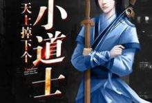 《天上掉下个小道士》小说章节列表免费试读,苏明俊秦韵小说在线阅读-推书机
