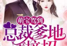 洛小槡顾罗修是哪本书的主角?寻找萌宝驾到:总裁爹地请接招!免费阅读-推书机