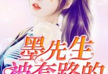 墨先生被套路的365天这本小说怎么样?免费在线阅读试试-推书机