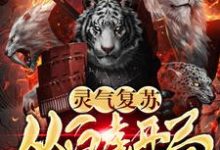 灵气复苏:从白虎开局方平小青重楼小说大结局免费试读-推书机