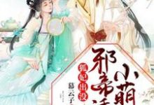 狐妃出没:邪帝诱宠小萌妃小说,狐妃出没:邪帝诱宠小萌妃祁云初圣月邪-推书机