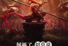 《闯祸了,切莫说我是你师傅》小说章节列表免费试读,叶枫小说在线阅读-推书机