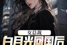 女总裁白月光回国后,我选择离主角叶修林若微小说完结版章节在线阅读-推书机