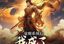 求觉醒系统后,我成了天命大反派小说的全文免费阅读链接-推书机