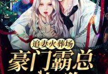 免费看追妻火葬场:豪门霸总不如狗小说的网站有哪些?-推书机
