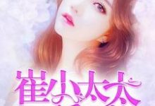 崔小太太要翻身小说的无弹窗阅读体验,寻找免费阅读网站-推书机