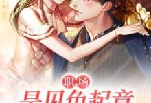 在线寻找职场：是见色起意也是长相厮守小说的无删减版本-推书机