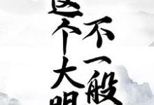 寻找能够免费阅读这个大明不一般小说的平台-推书机
