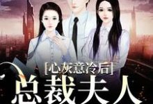 苏芜沈景淮是哪本书的主角?心灰意冷后,总裁夫人高不可攀免费读-推书机