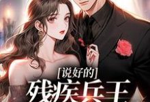 说好的残疾兵王,是在骗我嘛小说有没有完结版在线?-推书机