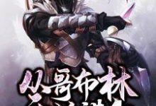 从哥布林开始进化小说,从哥布林开始进化章节在线阅读-推书机