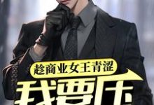 陈墨是哪本书的主角?寻找趁商业女王青涩,我要压她一筹!免费阅读-推书机