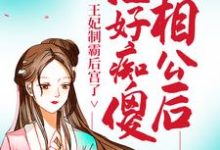 想读钟意邵淳的故事,哪里可以免费找到治好痴傻相公后,王妃制霸后宫了?-推书机