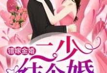 小说《错嫁金婚:二少,结个婚?》在线章节阅读-推书机