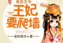 报告王爷,王妃要爬墙小说,报告王爷,王妃要爬墙董安然司马谨-推书机