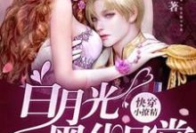完结版《快穿小撩精:白月光黑化日常》章节阅读-推书机