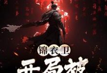 锦衣卫:开局被官府爆打小说,锦衣卫:开局被官府爆打苏岩林黛青-推书机