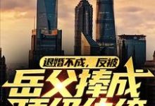 退婚不成,反被岳父捧成顶级纨绔陈天阳龙婉馨,退婚不成,反被岳父捧成顶级纨绔在线无弹窗阅读-推书机