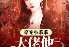 豪宠小乖乖,大佬他宠妻无价墨心儿霍九爷小说大结局免费试读-推书机