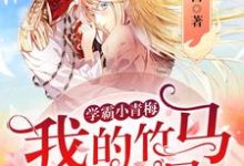 学霸小青梅:我的竹马是巨星小说,学霸小青梅:我的竹马是巨星秦子苏程漾-推书机