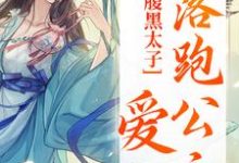 小说《腹黑太子爱上落跑公主》在线章节阅读-推书机