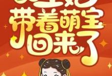 王爷,王妃带着萌宝回来了!小说的免费阅读版本在哪里可以找到?-推书机
