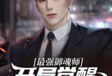 最强御魂师,开局觉醒SSS级武魂小说无弹窗阅读的网站推荐-推书机